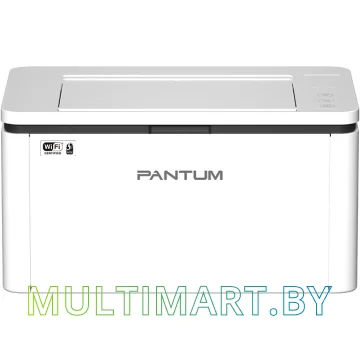 Принтер Pantum BP2300W картинка 2